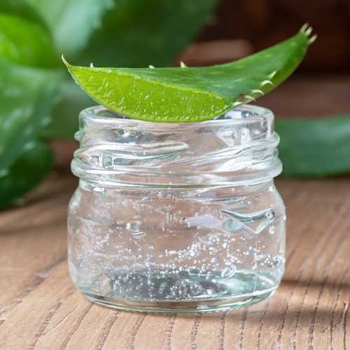 Aloe vera